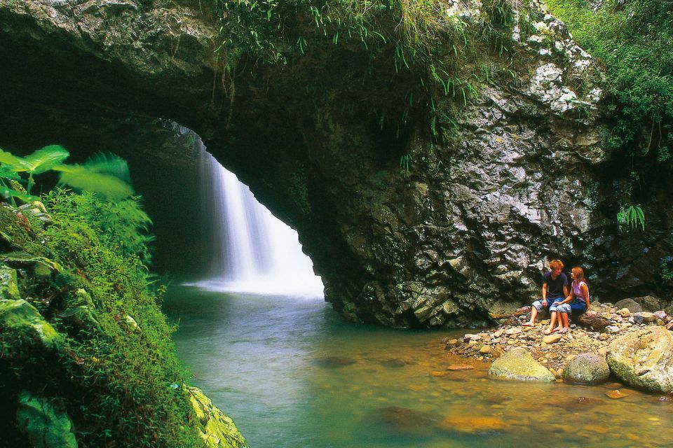 Gold Coast: Natural Bridge Glow Worm Night Tour - Customer Reviews