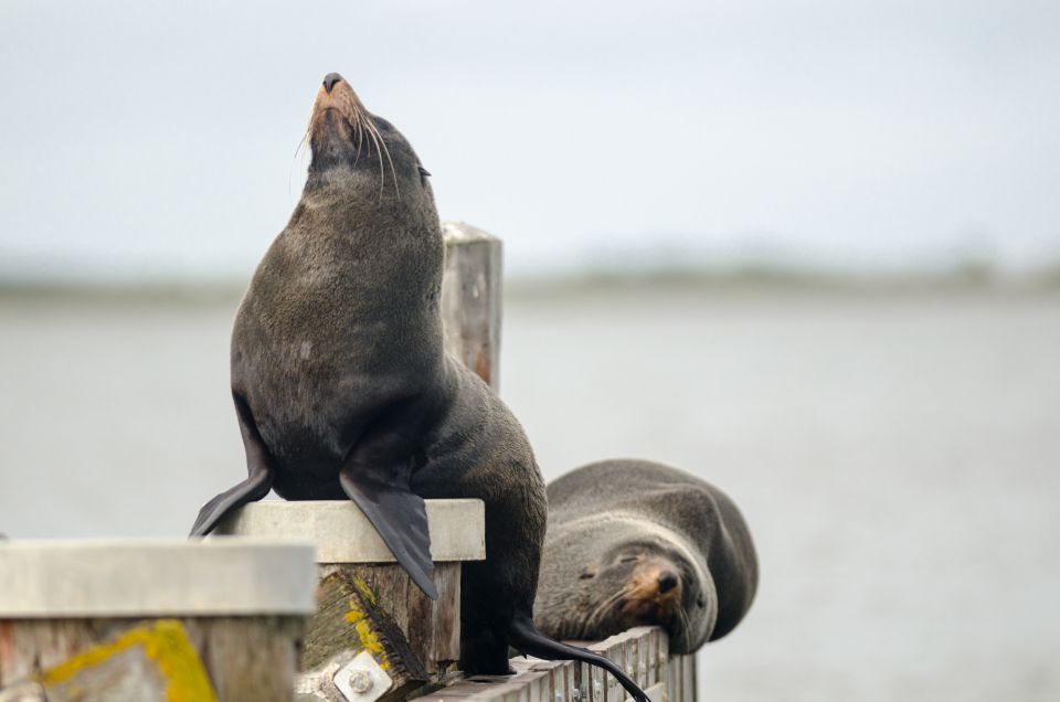 Goolwa: Murray River Cruise - Directions