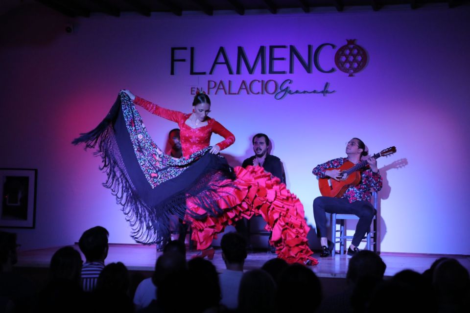 Granada: 1-Hour Traditional Flamenco Show at Palacio - Customer Reviews