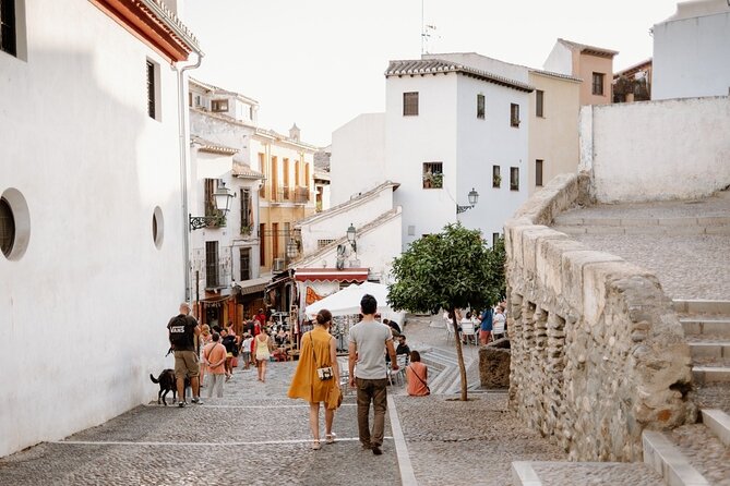 Granada Walking Tour - A Journey Through Time and Art - Tour Guide Expertise