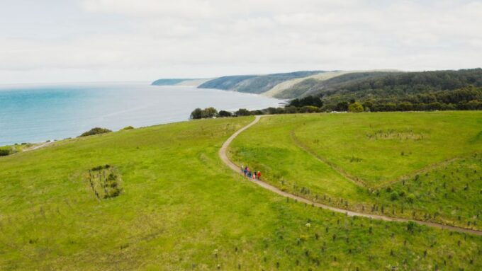 Great Ocean Road: Guided Wildlife Walk That Supports Nature - Accessibility and Logistics Information