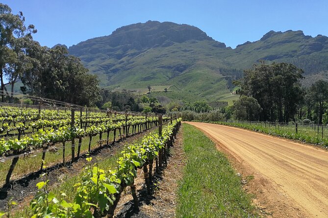 Greatest Private Tours of the Cape Winelands - Common questions