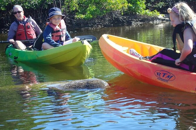 Guided Kayak Eco Tour in Pelican Bay - Traveler Photos and Additional Info
