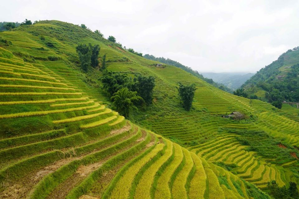 Half Day Sapa Trekking to Visit Lao Chai - Ta Van - Practical Details for the Tour