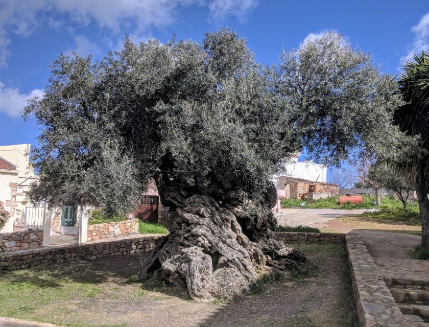 Heraklion: True Crete Melidoni Cave, Secrets of Honey, Olive - Additional Details