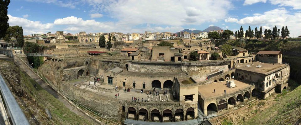 Herculaneum and Mount Vesuvius Private Tour - Inclusions