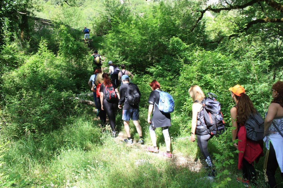 Hiking Tour to Vikos Gorge - Inclusions and Exclusions