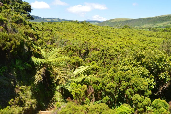 Hiking Trail: Passagem Das Bestas - Terceira Island - Contact and Support