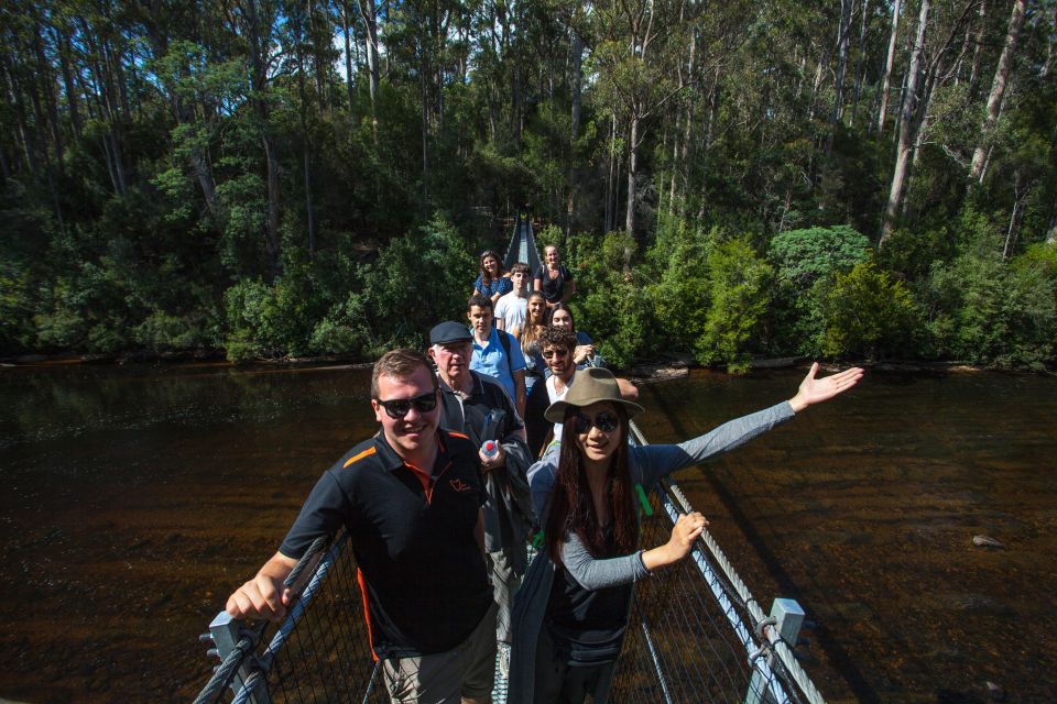 Hobart: Full-Day Tahune Airwalk & Hastings Caves Tour - Additional Information