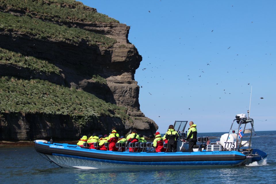 Húsavík: Big Whale Safari & Puffin Island Tour - Review Summary