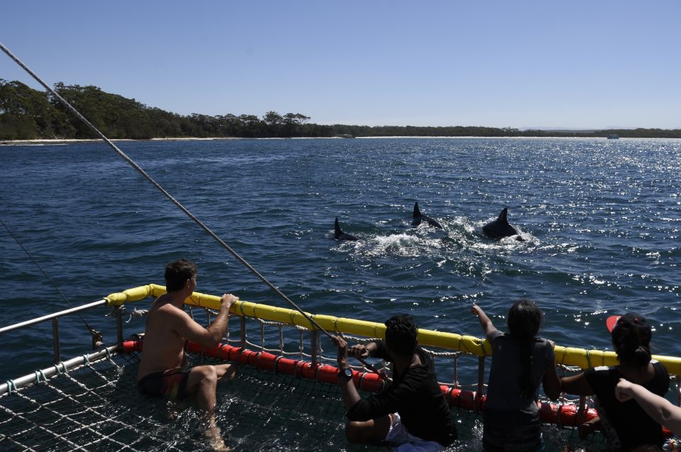 Huskisson: Dolphin Cruise & Boom Netting Experience - Customer Reviews