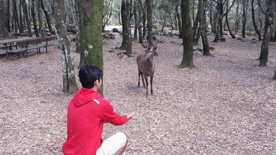 Is Cannoneris Nature Reserve Walking and Jeep Private Tour - Key Points