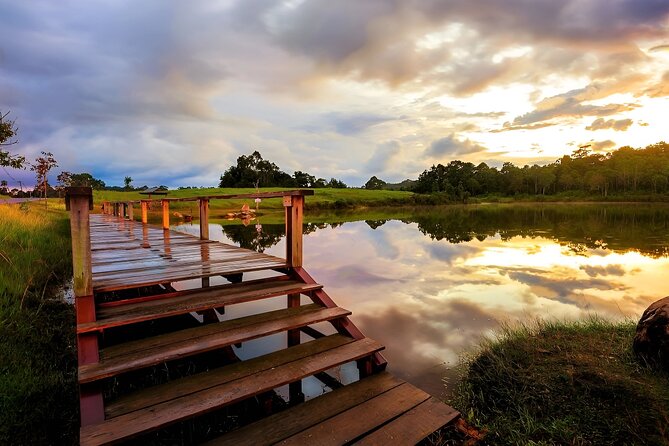 Khao Yai National Park-Haew Suwat Waterfall-Jungle Hiking to KM 33 Nong Pak Chi - Nong Pak Chi at KM 33 Trail Insights