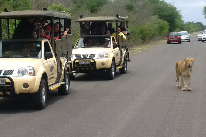 Kruger Park Safari Private Full-Day Tour From Marloth Park - Common questions