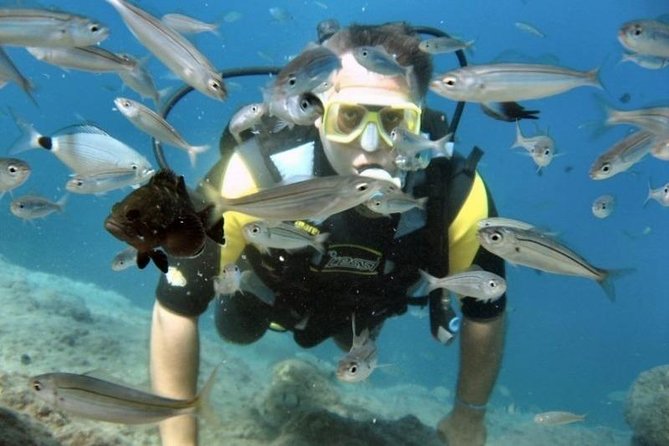 Kusadasi Beginner'S Scuba Dive W/Boat Ride & Lunch - Booking Confirmation and Accessibility