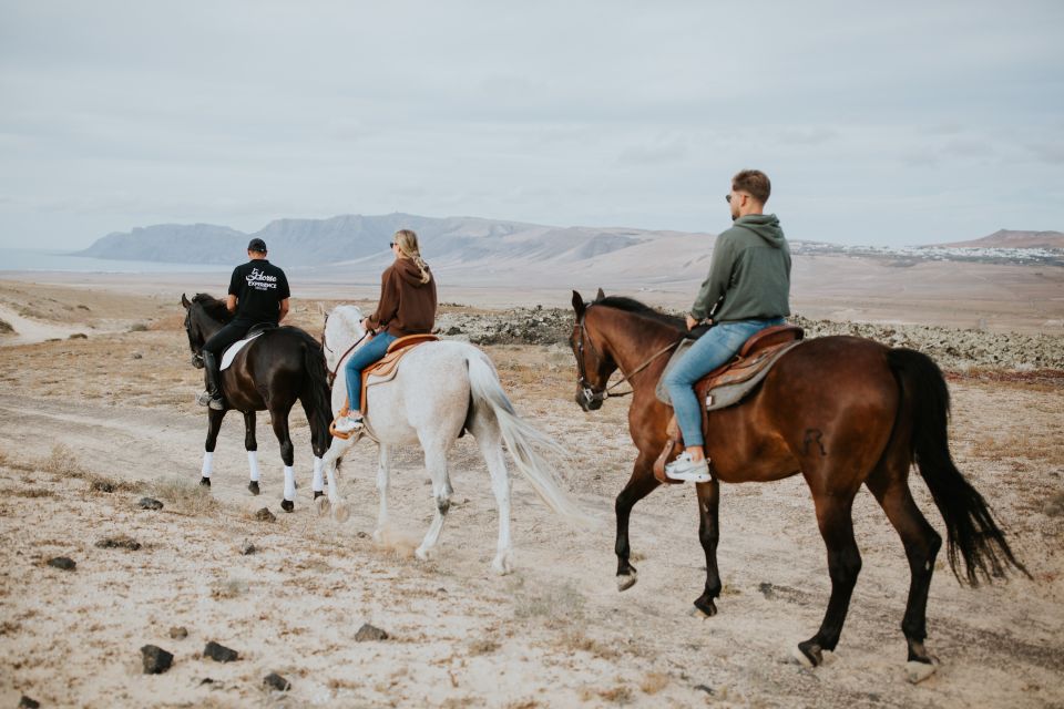 Lanzarote: Private Horseback Riding Tour - Common questions