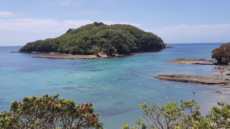 Leigh: Goat Island Guided Snorkeling Tour for Beginners - Common questions