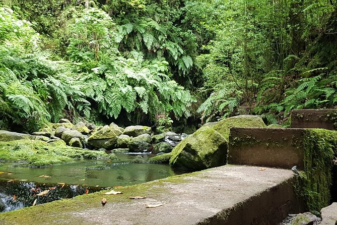 Levada Do Rei - Ribeiro Bonito (Full Day Walk) - Guided Walk Experience