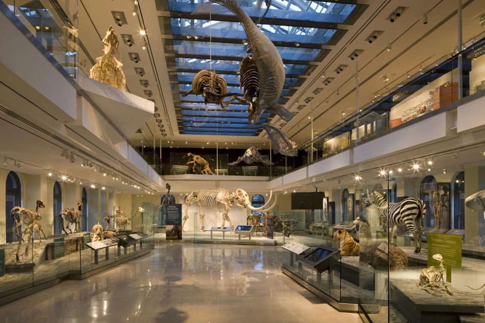 Los Angeles: Natural History Museum of LA Entry Ticket - Review Summary