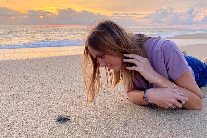 Los Cabos Turtle Release Conservation Program - Directions