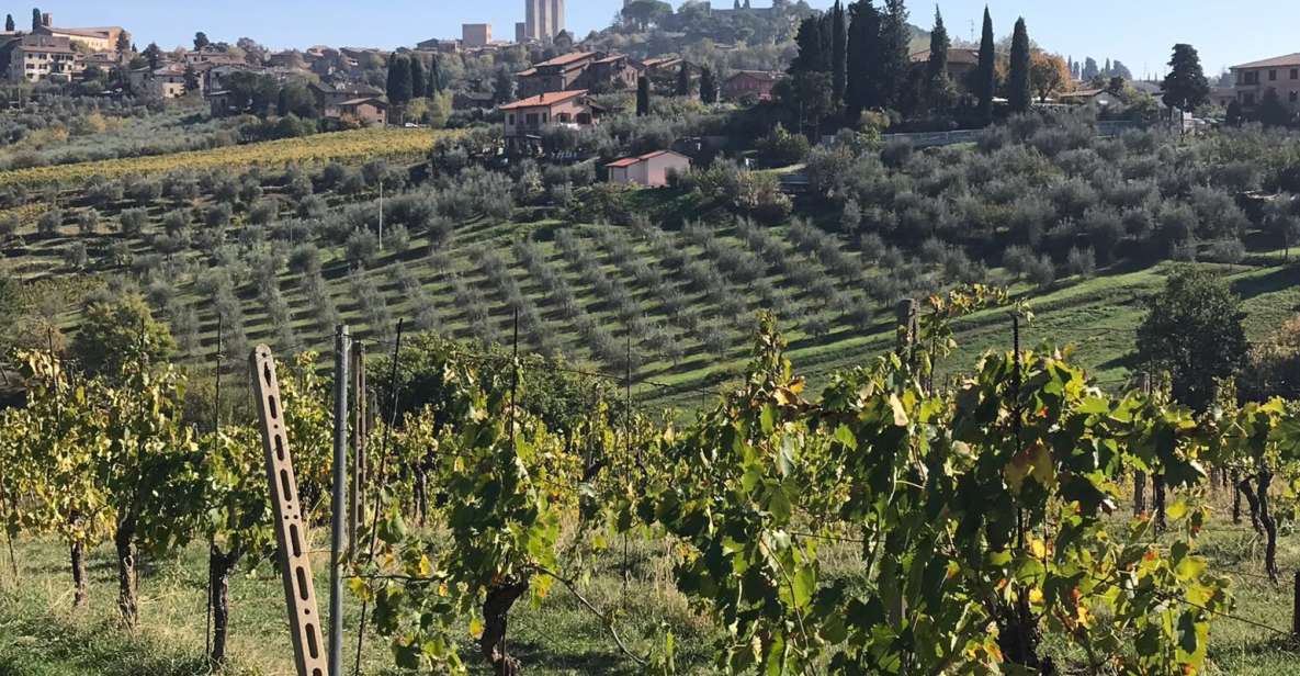 Lucca Private Day Tour to Chianti and San Gimignano - How to Book