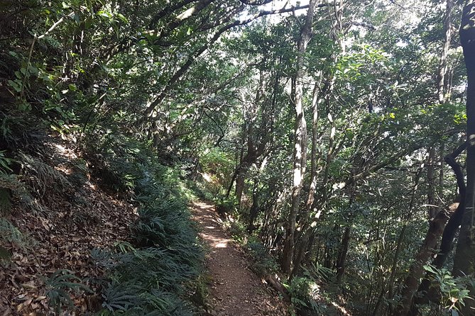 Madeira: Vereda Das Funduras Private Walking Tour PR5 - Traveler Photos Access