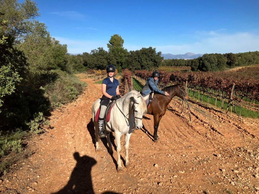 Mallorca: Activity With Horses, Antique Mallorca - Detailed Activity Description
