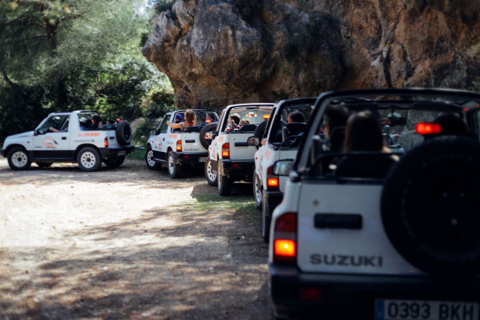 Mallorca: Beach and Mountain 4X4 Tour - Customer Reviews