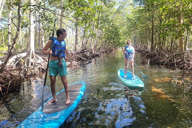 Mangrove Jungle Exploration on SUP/Kayak - Meeting Point and Pickup Details