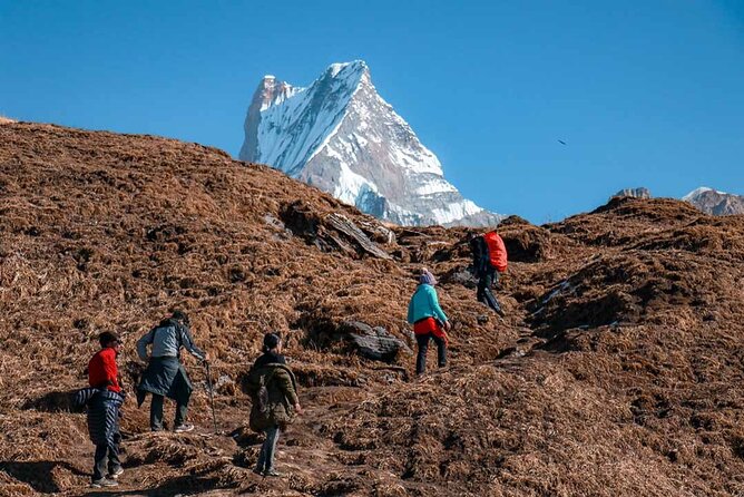 Mardi Himal Trek - Safety and Preparation