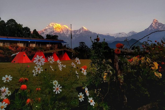 Mardi Himal Trek (A Short 8 Days Trek From Kathmandu) - Common questions