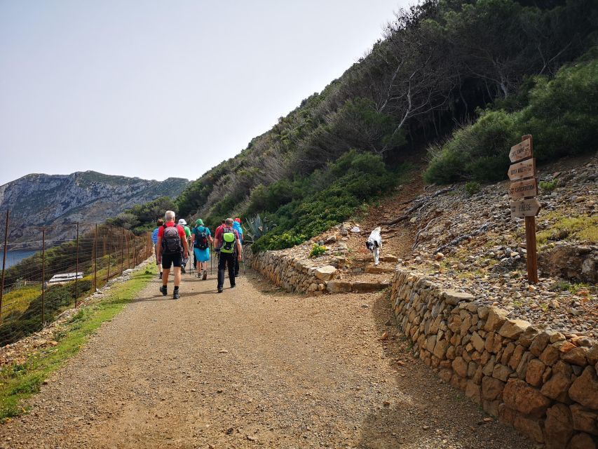 Marettimo Hiking and Nice Boat Tour to Visit Sea Caves - Requirements