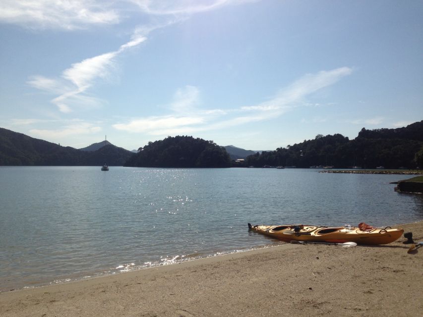 Marlborough Sounds Guided Kayak and Freedom Walk Tour - Customer Review