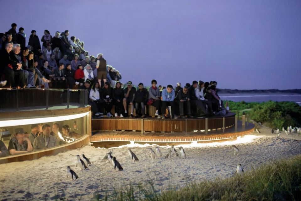 Melbourne: Phillip Island Penguins and Wildlife Sanctuary - Customer Reviews
