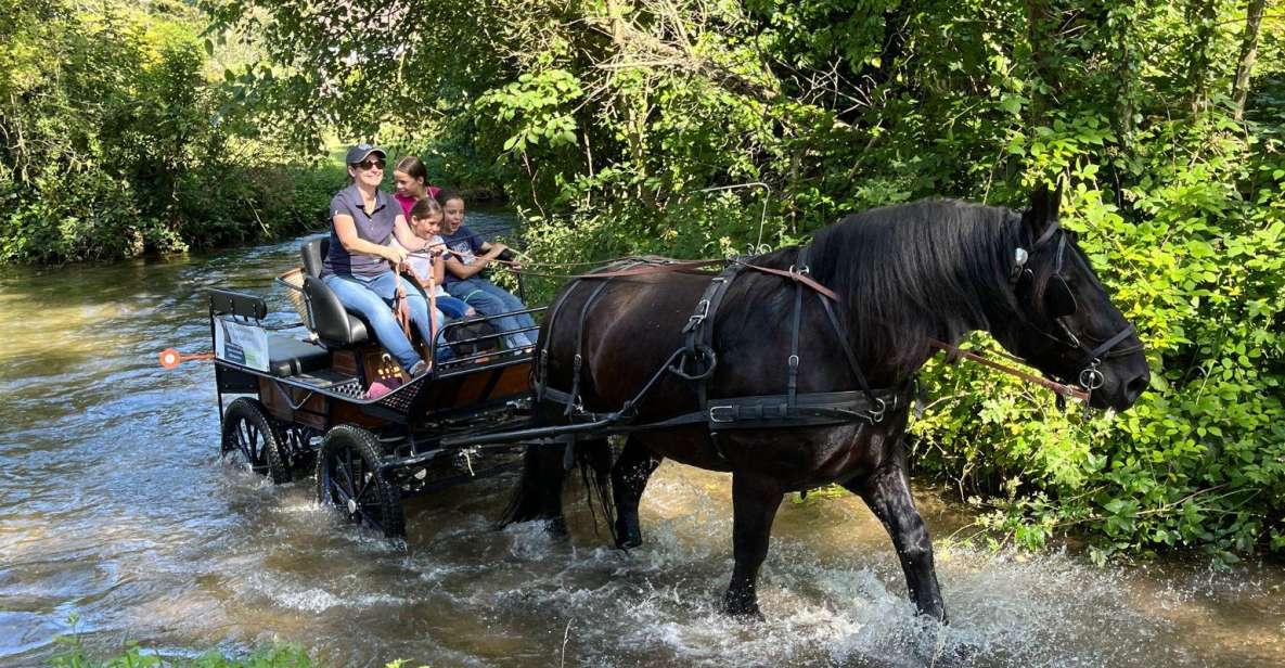 MENTHEVILLE : Horse Cariage Ride in Coutryside - Important Notes