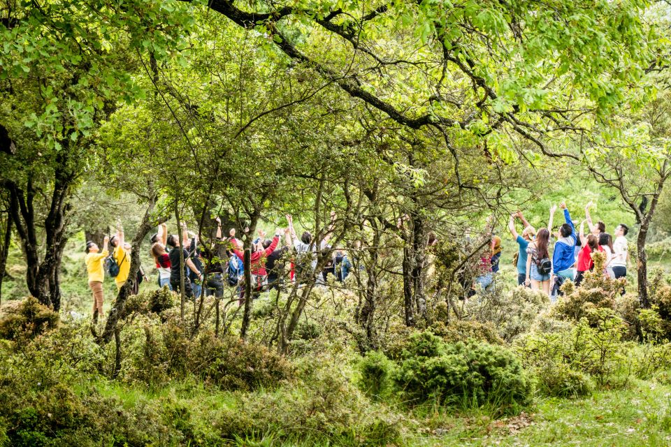 Meteora Truffle Hunting Experience With Lunch & Museum Visit - Provider Information