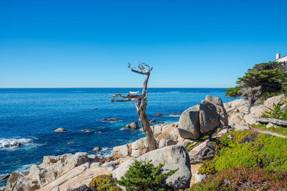 Monterey: 17-Mile Drive Self-Guided Audio Tour - Customer Reviews