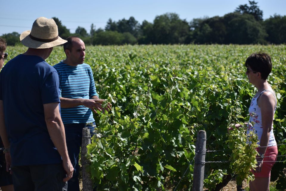 Morning - Loire Valley Wine Tour in Vouvray and Montlouis - Booking Information