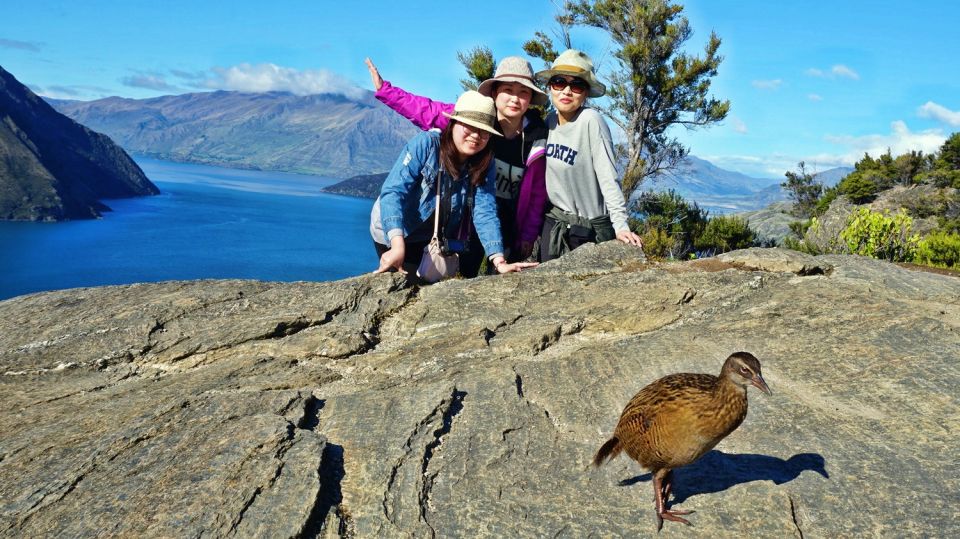 Mou Waho Island 3 Hour Cruise & Nature Walk - Departure Point