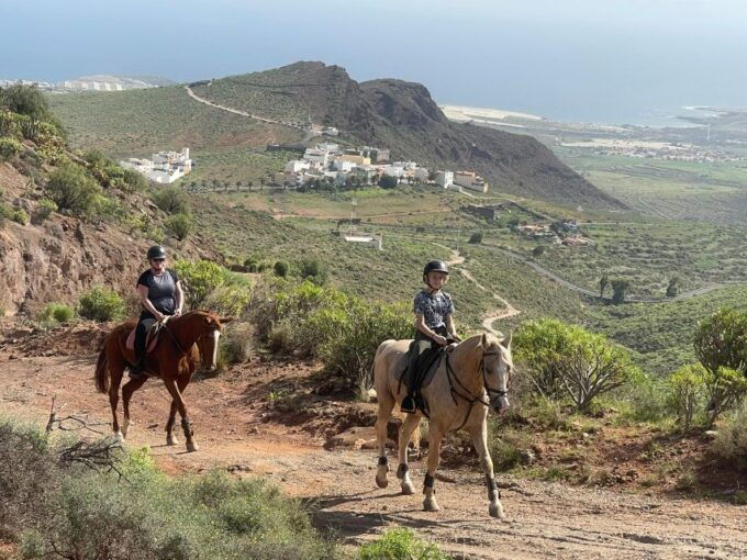 Mountain Panoramic Tour of 2 Hours - Meeting Point Information