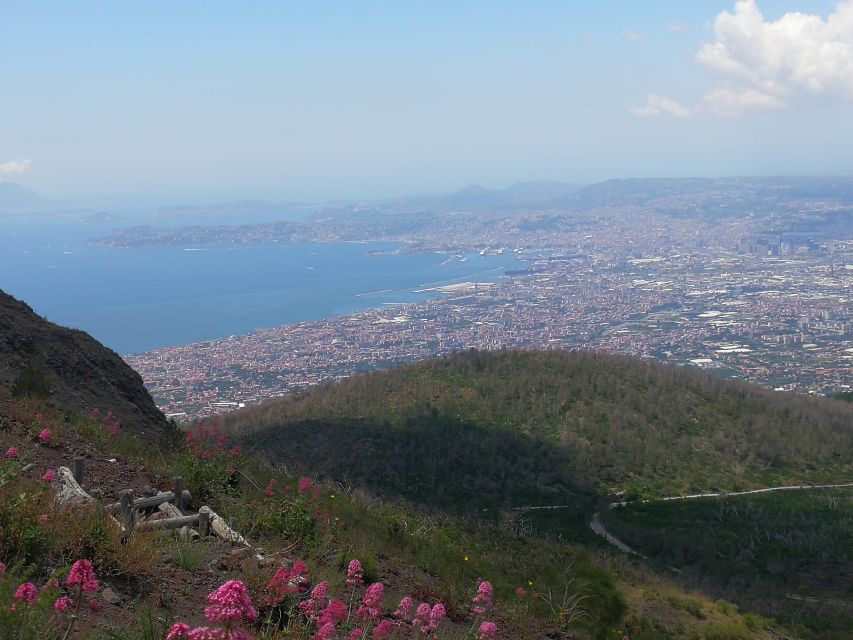 Naples: Pompeii, Mount Vesuvius, and Herculaneum Trip - Last Words