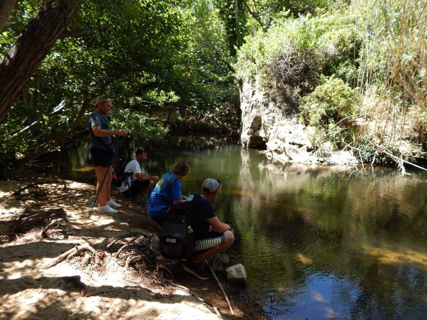 Naxos: a Riverbank Adventure (Kinidaros - Eggares Villages) - Itinerary