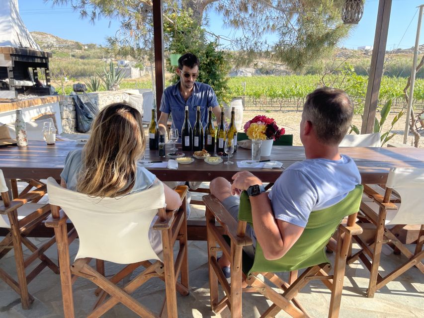 Naxos: Private Vineyard Tour & Wine Tasting With an Expert - Common questions