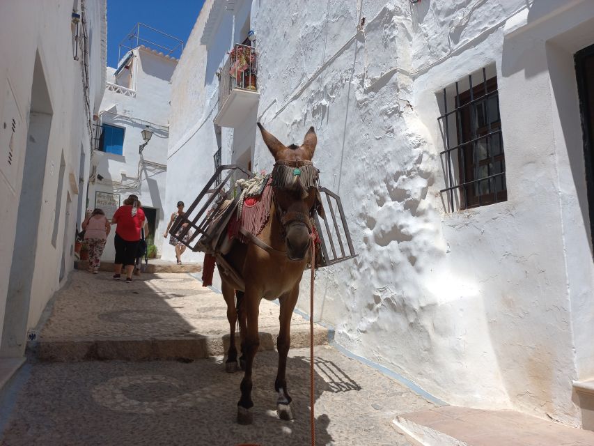 Nerja (Town), Frigiliana & El Acebuchal - SemiPrivate - Directions