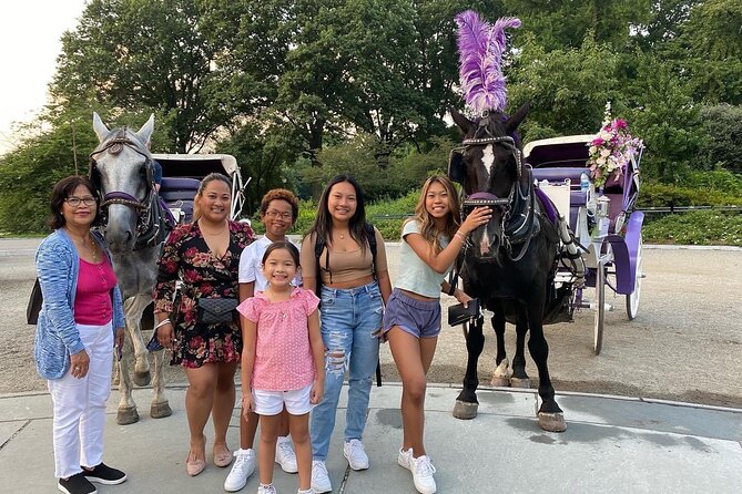 NYC Central Park Horse Carriage Rides - Cancellation Policy