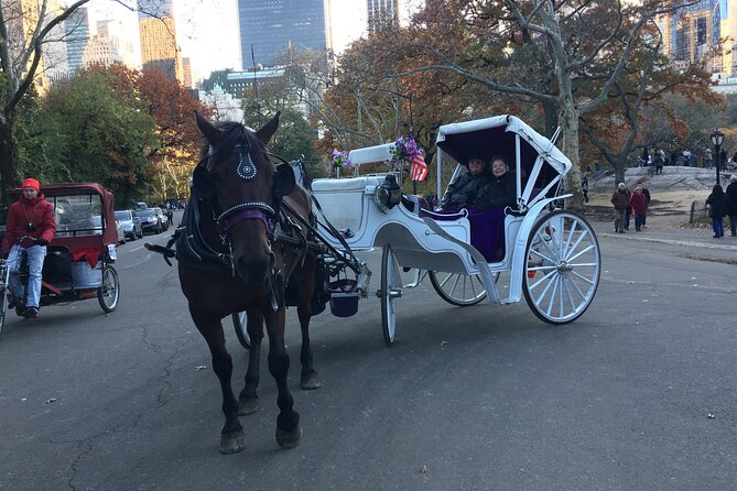 NYC Central Park VIP Horse and Carriage Ride - Additional Information