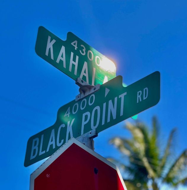 O'ahu's South Shore: A Self-Guided Driving Tour - Important Information