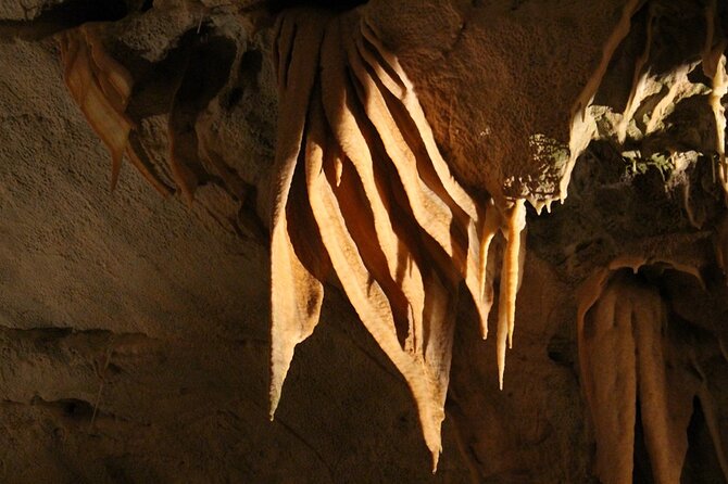 One-Day Trip:Visit Postojna Cave and the Glorious Predjama Castle - Operational Details