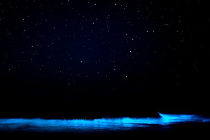 Orlando Bioluminescence Kayak and Swim Adventure - Best Times for Bioluminescent Viewing