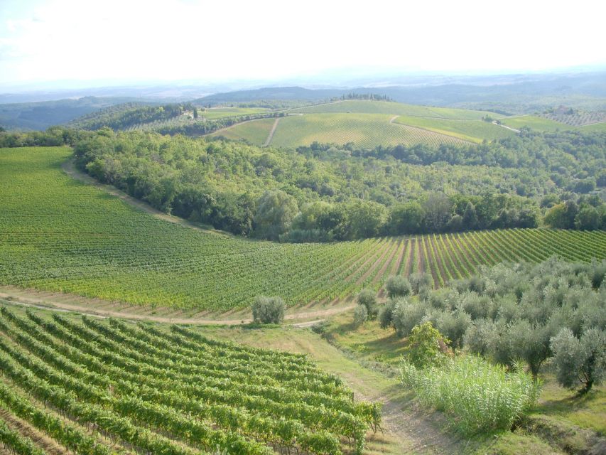 Orvieto & Civita Di Bagnoregio Private Tour From Rome - Important Information